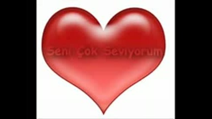 Seni Seviyorum.