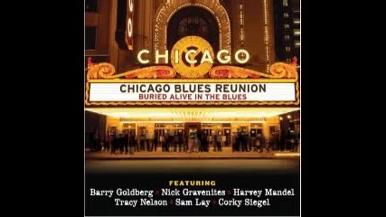 Chicago Blues Reunion - Gm Boogie 