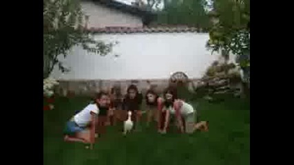 Nai Qkata Kompaniq
