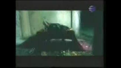 Preslava - Luja e