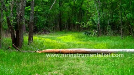 Relaxing music and nature (back to Bear Creek)