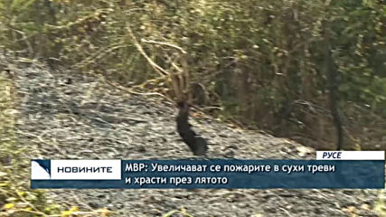 МВР: Увеличават се пожарите в сухи треви и храсти през лятото