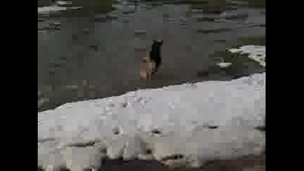 Гамач 1