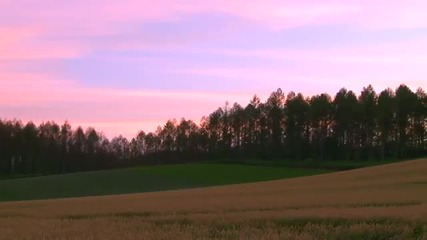 10min Emotional Violin Emotional Sunset