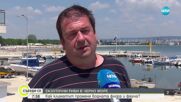 Нови морски видове в Черно море