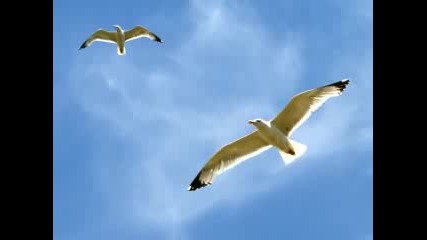 Richard Clayderman - Love Song In Winter