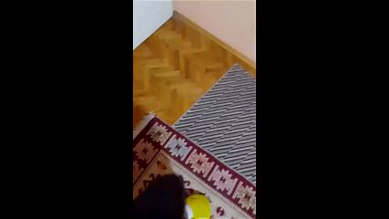 Vid_20230310_180836.mp4