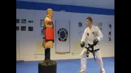 Taekwondo Kicking and Training Sampler on the Bob Xl