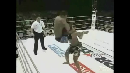 Mixed Fight