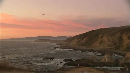 Orange Tusnelda - Stay Asleep (cafe Del Mar - Dreams 2)