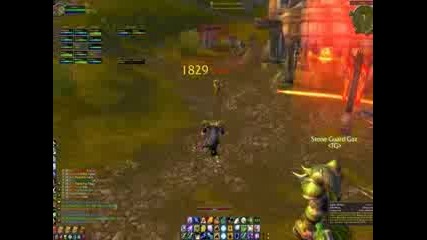 World Of Warcraft Orc Shaman Pvp Kills