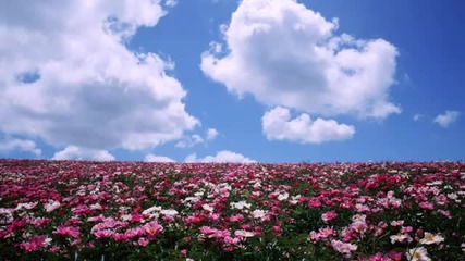 Alex Strobo - Beyond The Horizont (spring Chillout Mix)