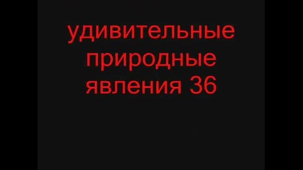 Удивителни природни явления 36