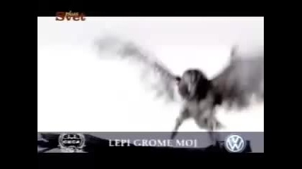 Ceca - Lepi Grome Moj