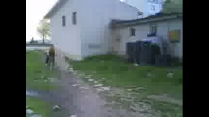 Ludi glavi