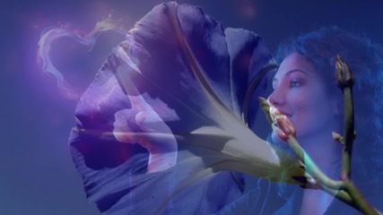 Beautiful blue dream... Judyesther - Garden of Dreams