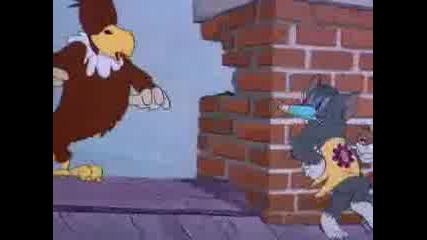 Parody Company - Tom & Jerry Parody
