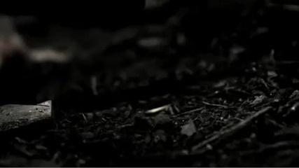 Since October - Disaster 