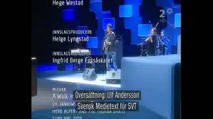 Morten Harket - Darkspace (live Grosvold 2008)