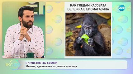 Забавни моменти, уловени сред дивата природа- „На кафе” (29.12.2023)