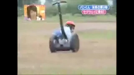 Chimpanzee Riding on a Segway