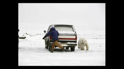 Ултра Смешни Снимки
