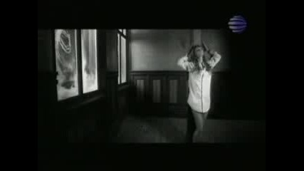 Малина - Студ