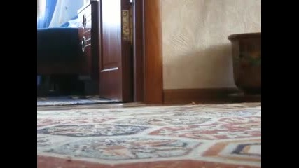 Рижавия Комик