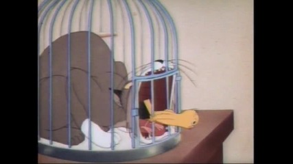 Warner Bros - 112241 The Cagey Canary Mm Br 