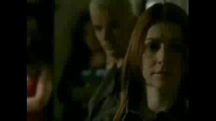 Spike & Willow