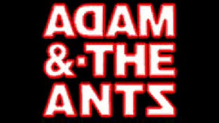 Adam & The Ants - Beat My Guest