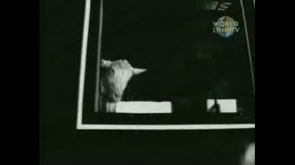 Emir Kusturica The No Smoking Orchestra