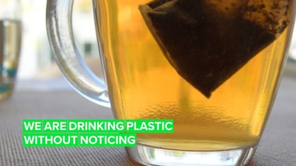 Even tea bags: Microplastics are in these common food and drinks