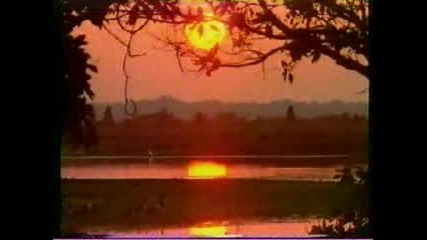 Laura Fygi - Orange Coloured Sky