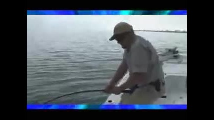 Гигантски 600 паунда Голиат (риба) Счупва пръчката на рибар 