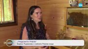 „Градската пчела“: Боряна Първанова и нейната Пчелна къща- „На кафе“ (20.05.2025)