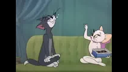 Tom Jerry Gipsy Cats