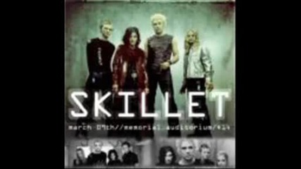 Снимки на Skillet