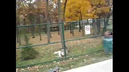 Тва Сигурно Боли