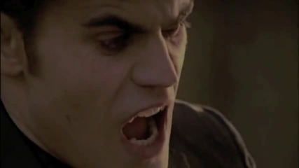 stefan salvatore • a monster, a predator, a ripper.