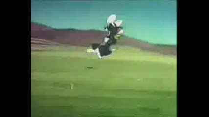 Tom & Jerry Texas Tom