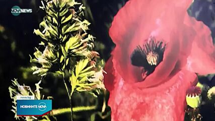 Благотворителен търг в помощ на 13 бебета във Варна
