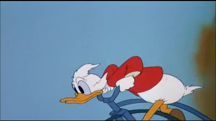 Donald Duck - Crazy Over Daisy 