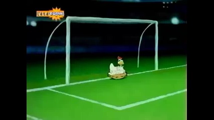 Zoo Cup Кокошки срещу Патици