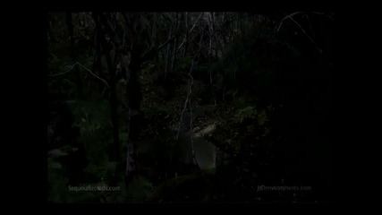Earth Drum - Spirit Vision - David and Steve Gordon