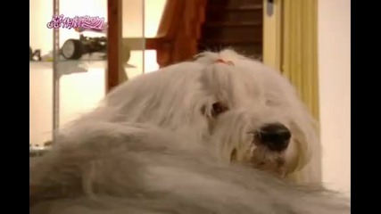 It Started With a Kiss Ep. 21 (2/5) [eng subs]