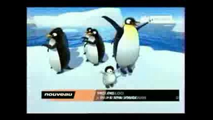 Lean Like A Penguin