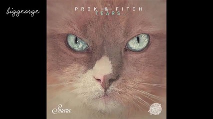 Prok And Fitch - Tears ( Original Mix )