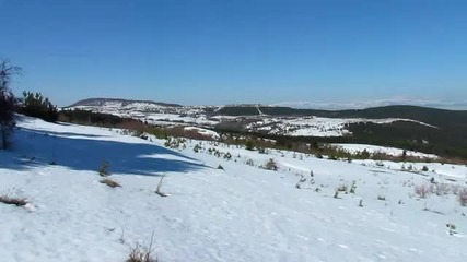 Петлюка Вискяр