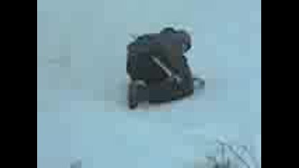 Padane